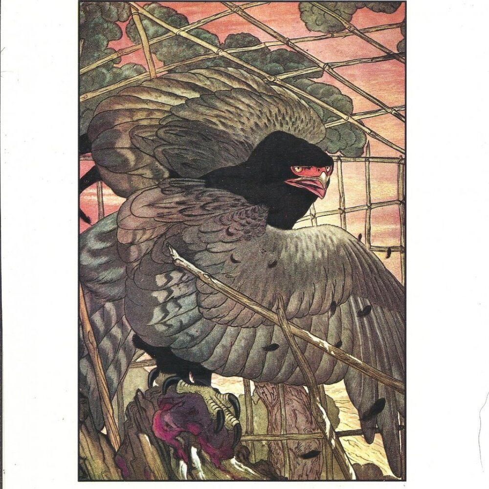 Edward Detmold: Fable's of Aesop - Eagle - 11.75" x 8.75" Book Page print